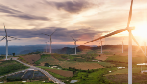 Wind turbine field