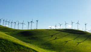 Wind turbine field