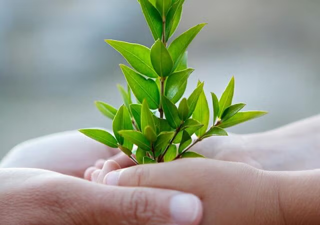 Environmental Claim Validation (ECV)