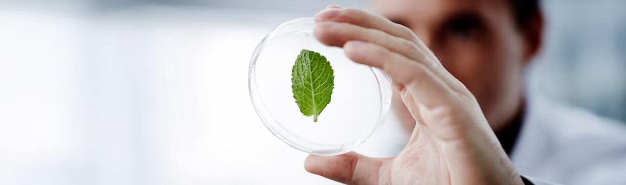 Sustainability drives business success – and humanity’s survival